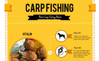 Basics of Carp Fishing for Beginners – Infographic