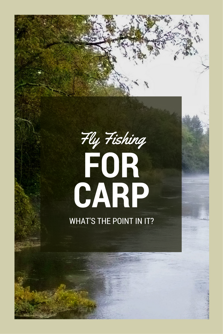 Fly Fishing for Carp, why do people fish this way