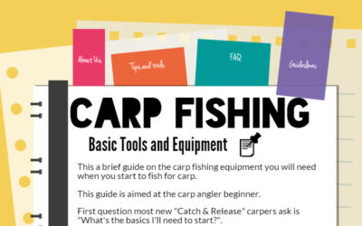 Carp Fishing Tools for Beginners – Infographic