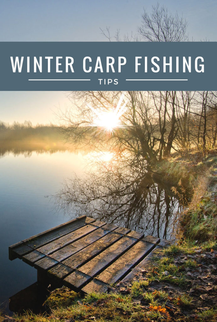 Winter Carp Fishing Tips Carp Fishing Reviews